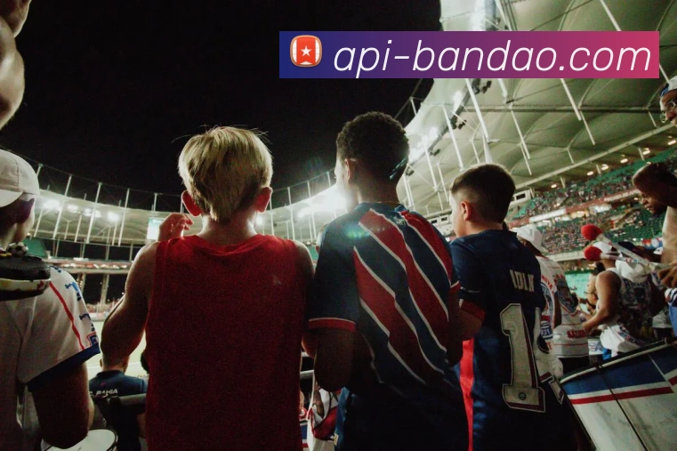 半岛体育官方网站平台生态图