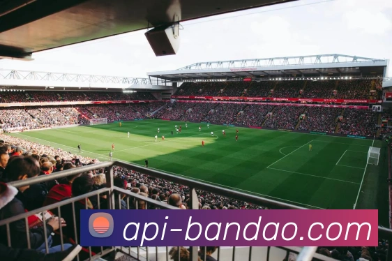 半岛体育官方网站APP 封面图